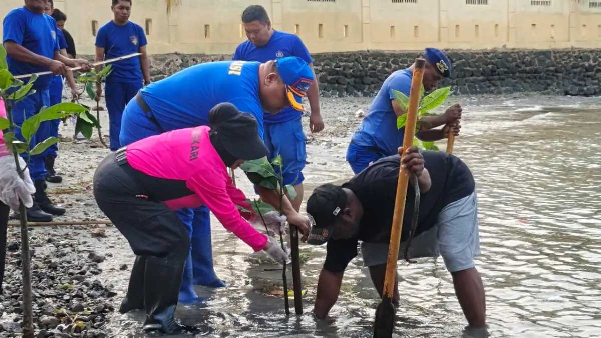 Direktorat Polairud Polda Papua Barat Daya bersama Bhayangkari Ditpolairud dan masyarakat pesisir menanam pohon Mangrove, Kamis (24/9/2026).(CEPOSONLINE.COM/FAUZIA)