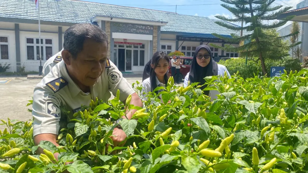Pegawai dan Warga Binaan ​Lapas Abepura saat mengelar panen perdana bahan komiditas hasil budidaya, Rabu (30/9/2026).