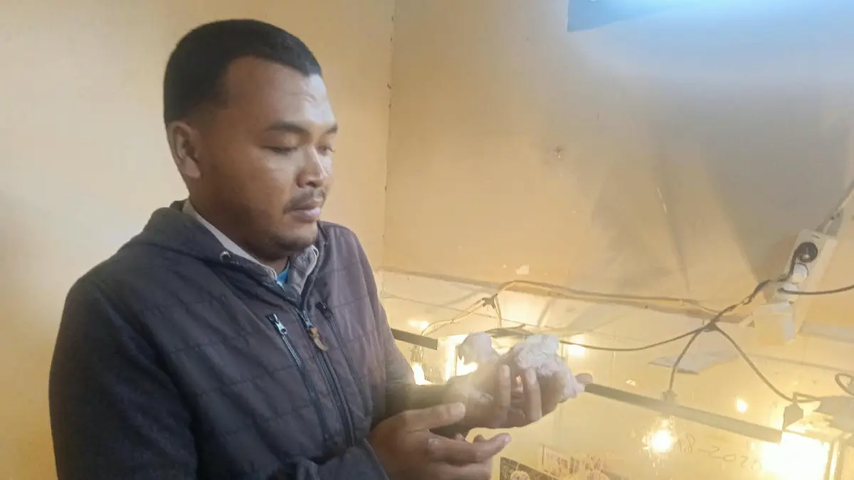 Risky, saat menunjukan 20 ekor anakan burung paruh bengkok yang dirawat seperti bayi.(CEPOSONLINE.COM/SULO)