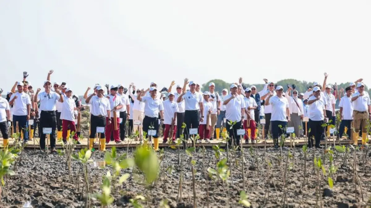 Desa Timbulsloko, Kecamatan Sayung, Kabupaten Demak, Jawa Tengah, kini menjadi proyek percontohan atau Deminstration Plotting (Demplot) perlindungan Pantai Utara Jawa berbasis alam (Nature-based Solutions), setelah bertahun-tahun dilanda rob. ANTARA/HO.Humas Pemprov Jateng.