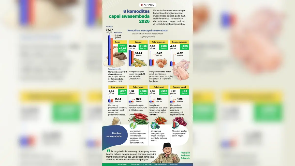 INFOGRAFIS.