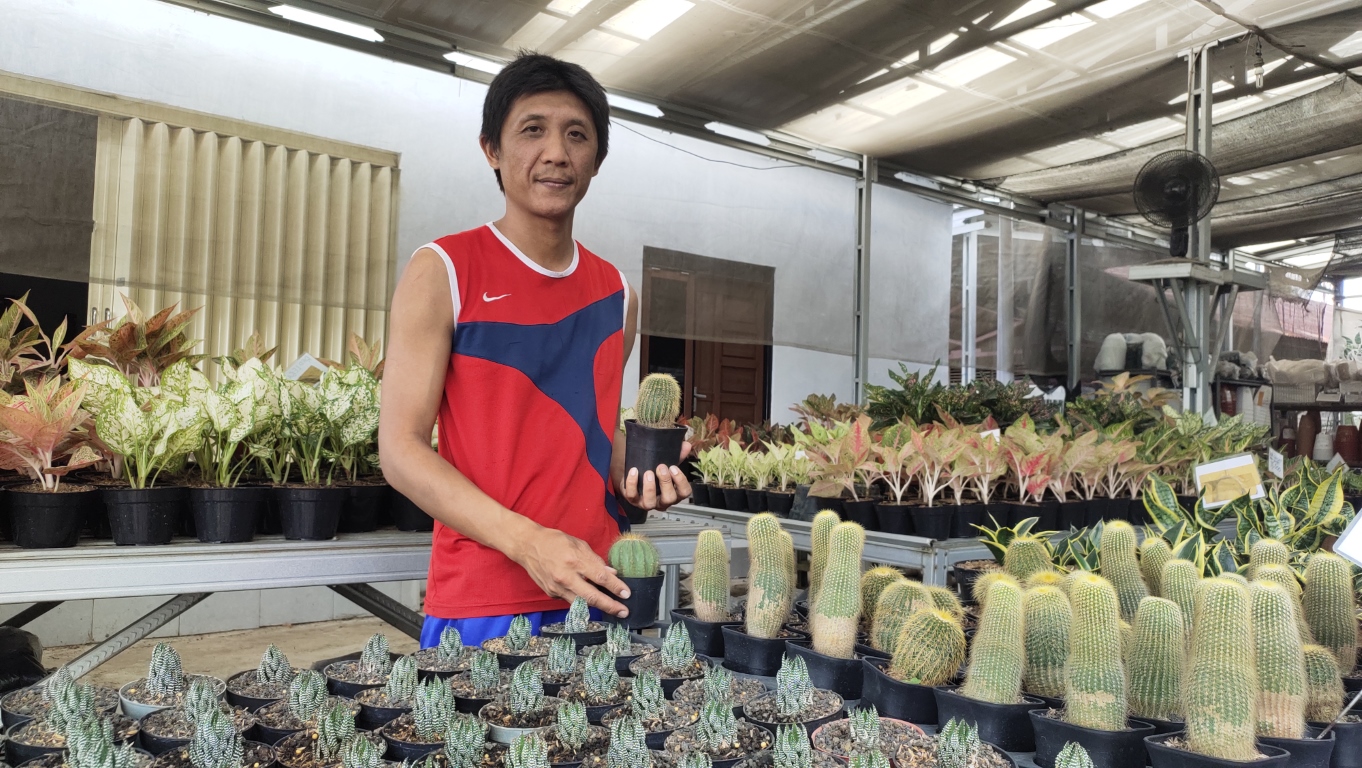 KAKTUS MINI: Ashari memperlihatkan jenis tanaman hias di kios bunga miliknya, Selasa (7/11).