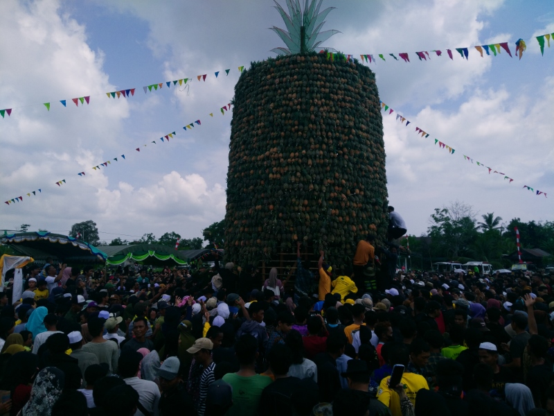 BERBENTUK MENARA: Ribuan buah nanas habis dalam sekejap diperebutkan pengunjung di Kecamatan Mekarsari, Minggu (19/11).