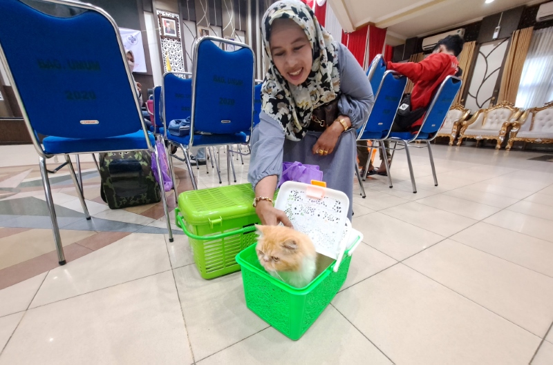 STERILISASI: Para penyayang kucing ngumpul di Balai Kota Banjarmasin, Jumat (24/11) untuk mengikuti sterilisasi gratis.