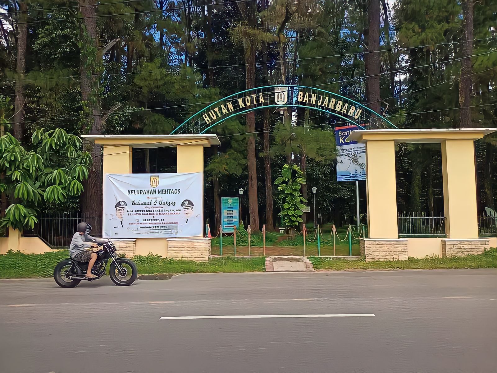 TAHULAH PIAN: Hutan Pinus Mentaos I kini menjadi hutan kota di Banjarbaru. Namun, banyak yang tidak mengetahui sejarah awalnya.