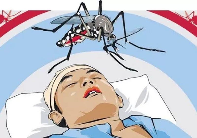 Ilustrasi demam berdarah.
