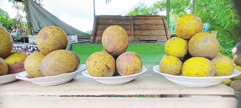 Hambawang