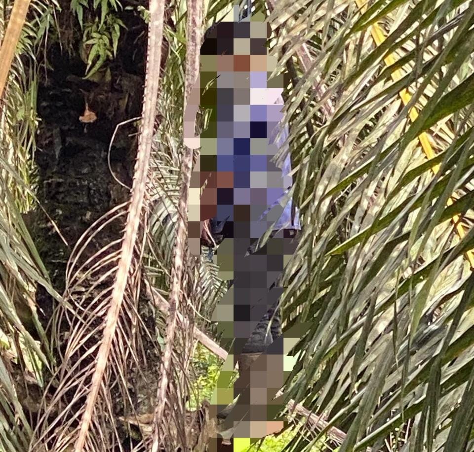 AKHIRI HIDUP: Karyawan perusahaan kelapa sawit di Kabupaten Tapin nekat mengakhiri hidupnya dengan gantung diri di tengah kebun.(Foto:Polsek Tapin Tengah untuk Radar Banjarmasin)