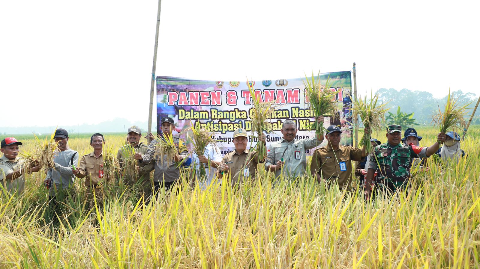 POTENSI:Pertanian dengan konsep rawa lebak di Amuntai, Kabupaten Hulu Sungai Utara (HSU) jadi salah satu kekuatan pertanian saat kemarau melanda.(Foto:M Akbar/Radar Banjarmasin)