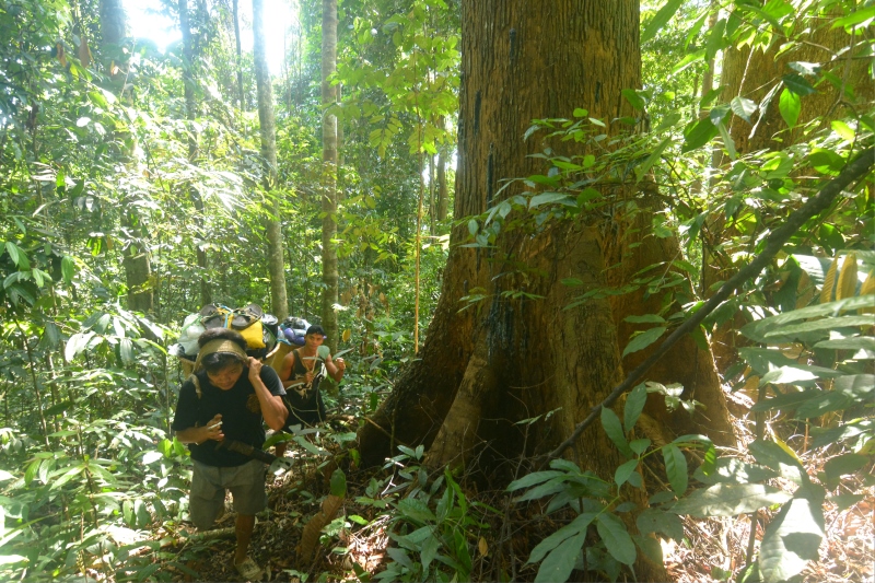 JADI LAUK: Jamur tumpu (foto atas) yang ditemukan ketika berada di kawasan Munjal atau Makacang (foto samping), menuju Racah Birah.