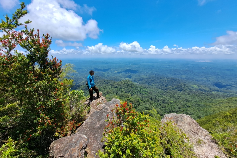 LUAS: Potret hutan hujan tropis yang rimbun dari puncak Gunung Hauk 1.325 MDPL.