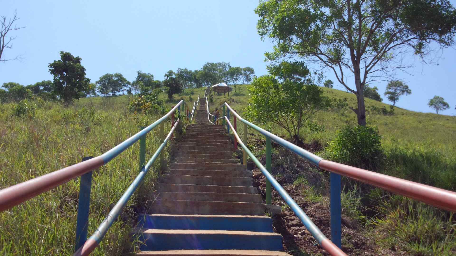 Bukit Timah