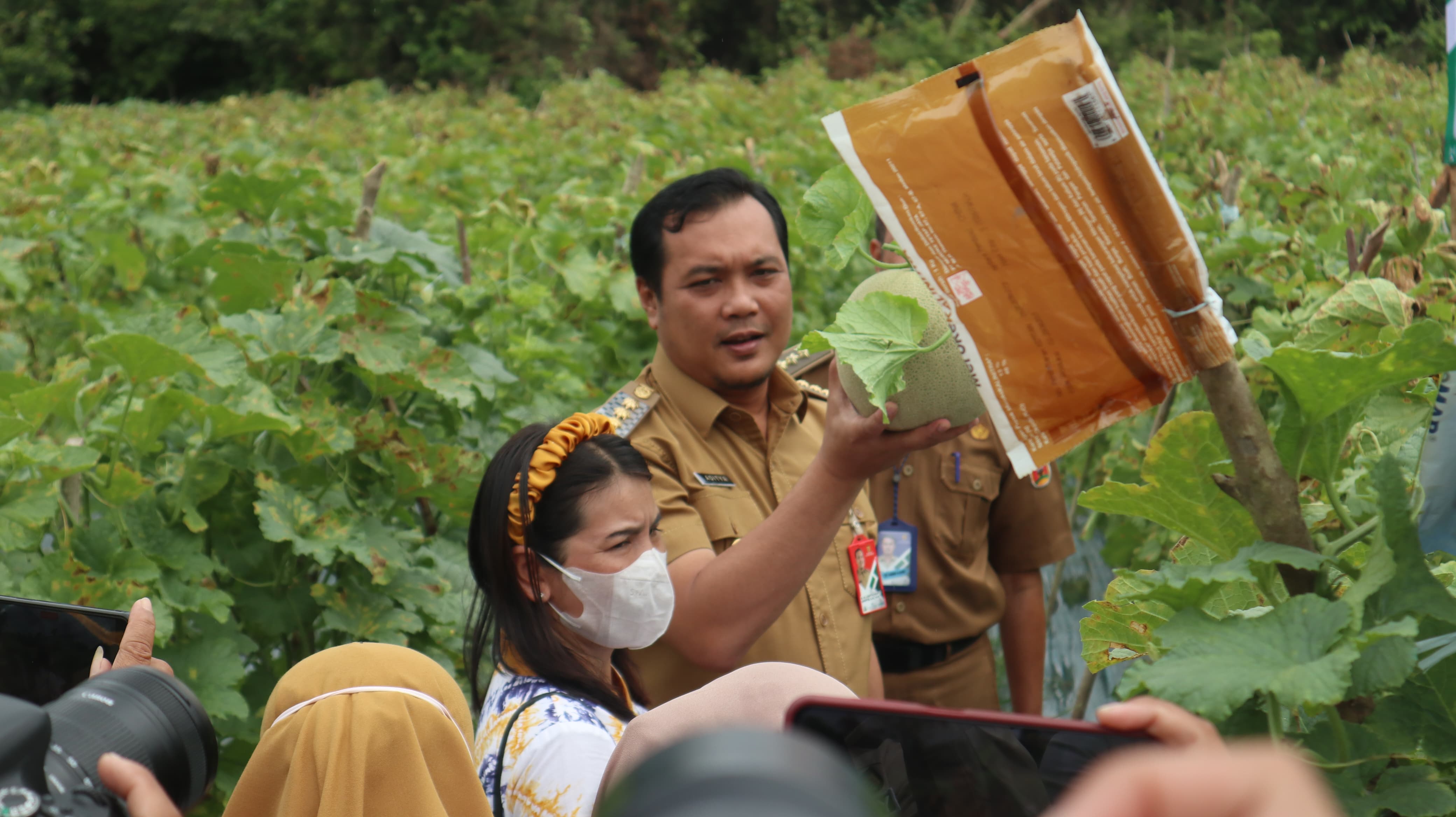 INVESTASI NAIK: Wali kota Banjarbaru, Aditya Mufti Ariffin memanen buah melon di salah satu kebun urban farming warga, beberapa waktu lalu.(Foto: Media Center Banjarbaru untuk Radar Banjarmasin)