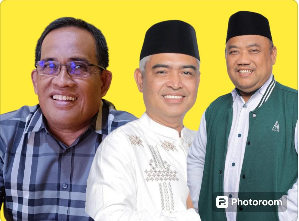 MENDAFTAR: Dari kiri Ketua DPD Golkar HSU Sahrujani, Hero Setiawan dari kalangan profesional dan Hormansyah dari partai PKB HSU mendaftar ke Golkar.