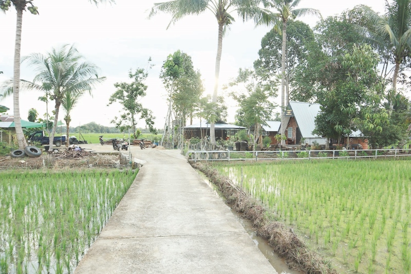 TENGAH PERSAWAHAN: New Villa Ubud Bungur Baru berada tepat di tengah persawahan.