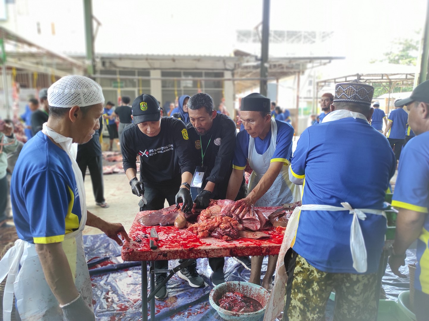 BIAR AMAN: Tim Pemeriksa daging Hewan Kurban dari DKP3 Banjarmasin, ketika mengecek daging hewan yang sudah disembelih.