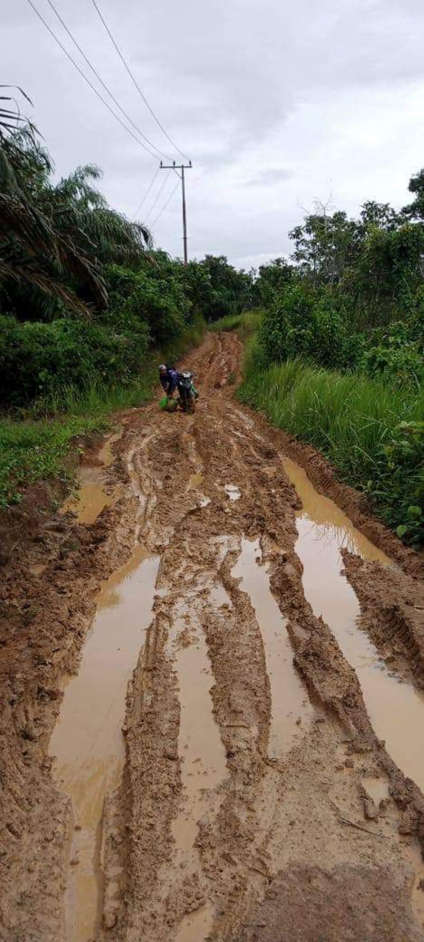 PEMERATAAN PEMBANGUNAN: Salah satu jalan menuju Desa Sulangkiy, Kecamatan Kelumpang Utara, termasuk wilayah Tanah Kambatang Lima.