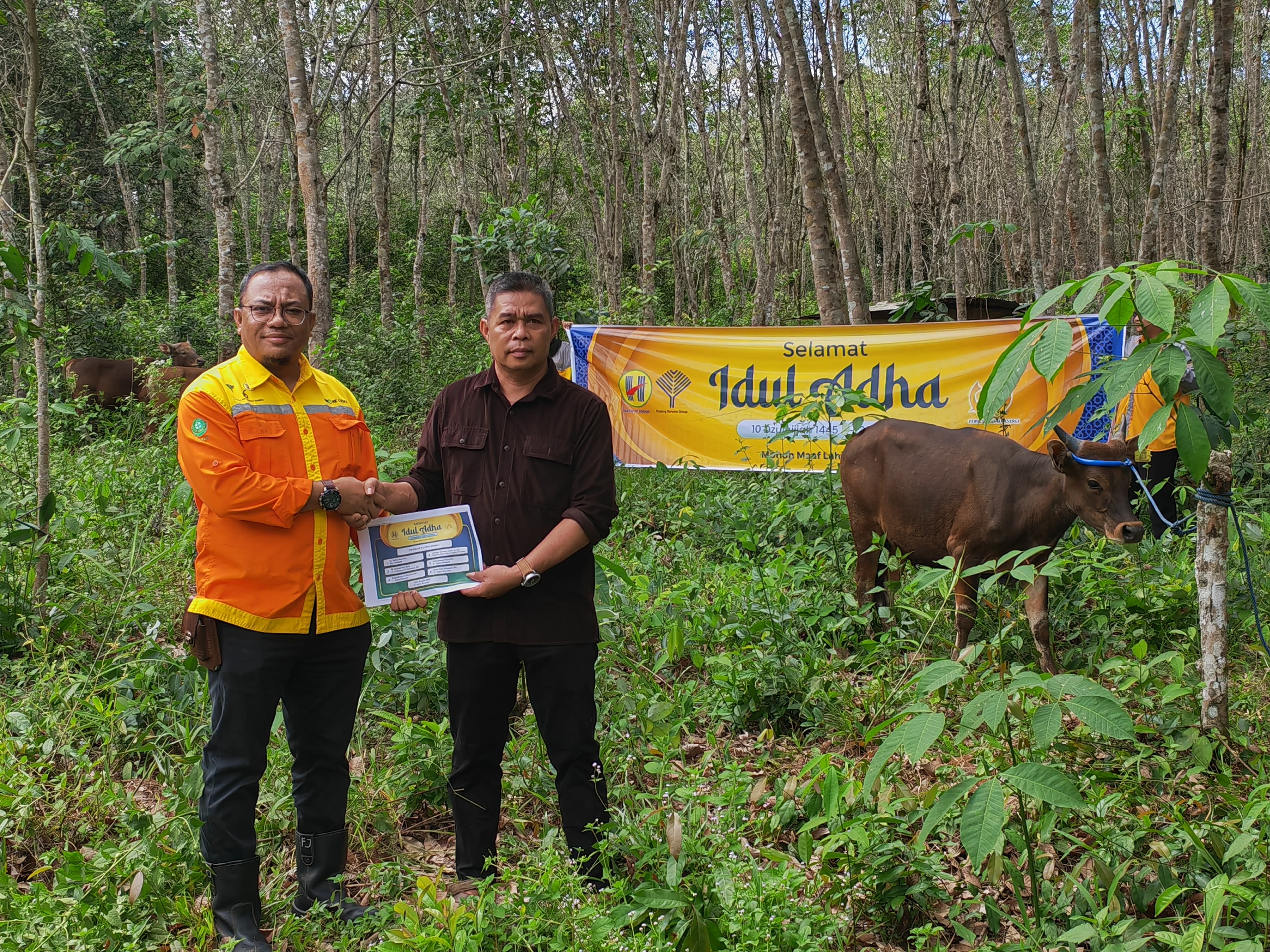 BERI HEWAN: Beberapa perusahaan di Tapin yang berbagi hewan kurban ke masyarakat.