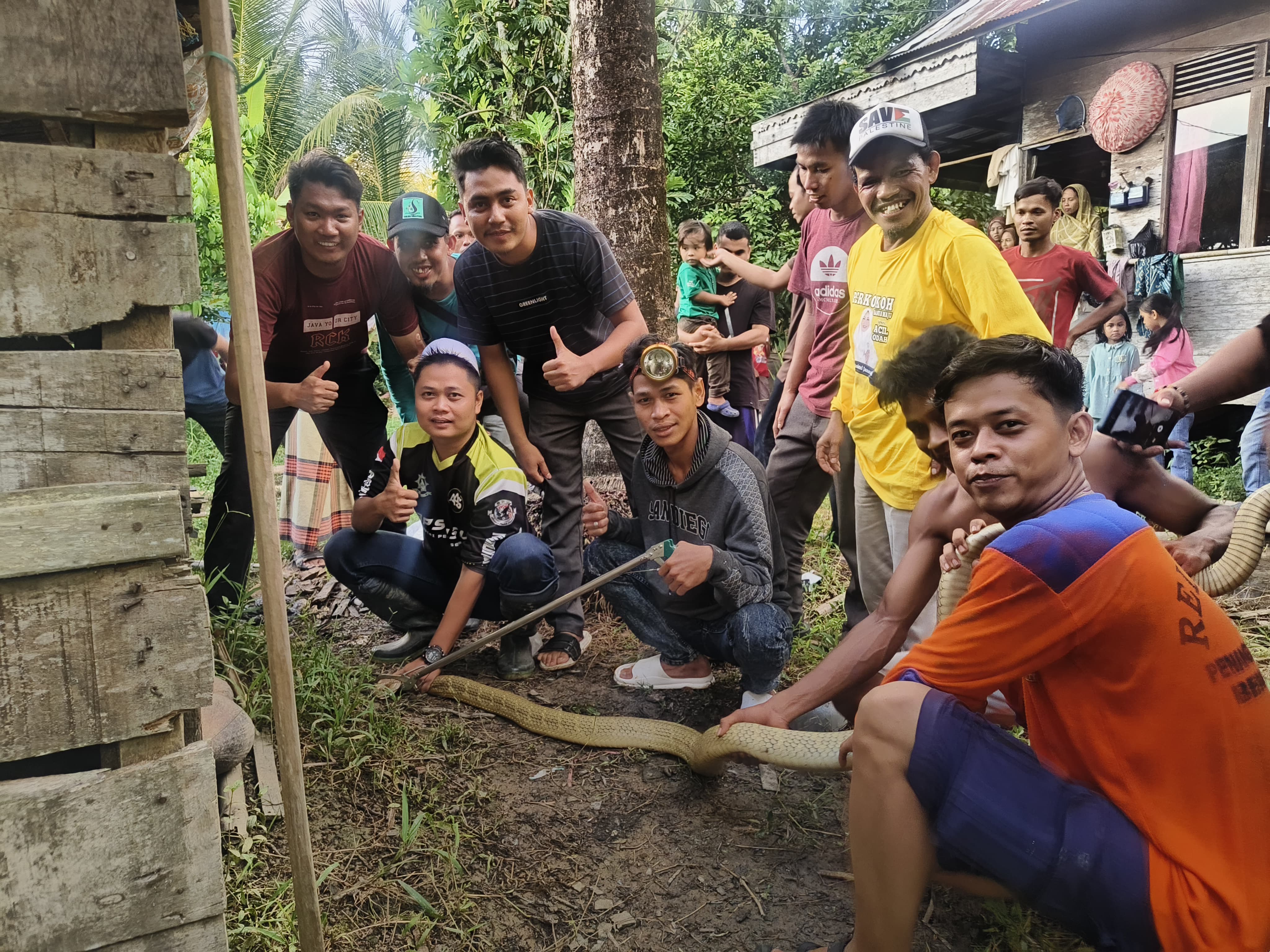 BERHASIL: Hendra (peci putih) dari menangkap ular King Kobra berukuran tiga meter di Desa Teluk Mesjid Kecamatan Sungai Pandan.