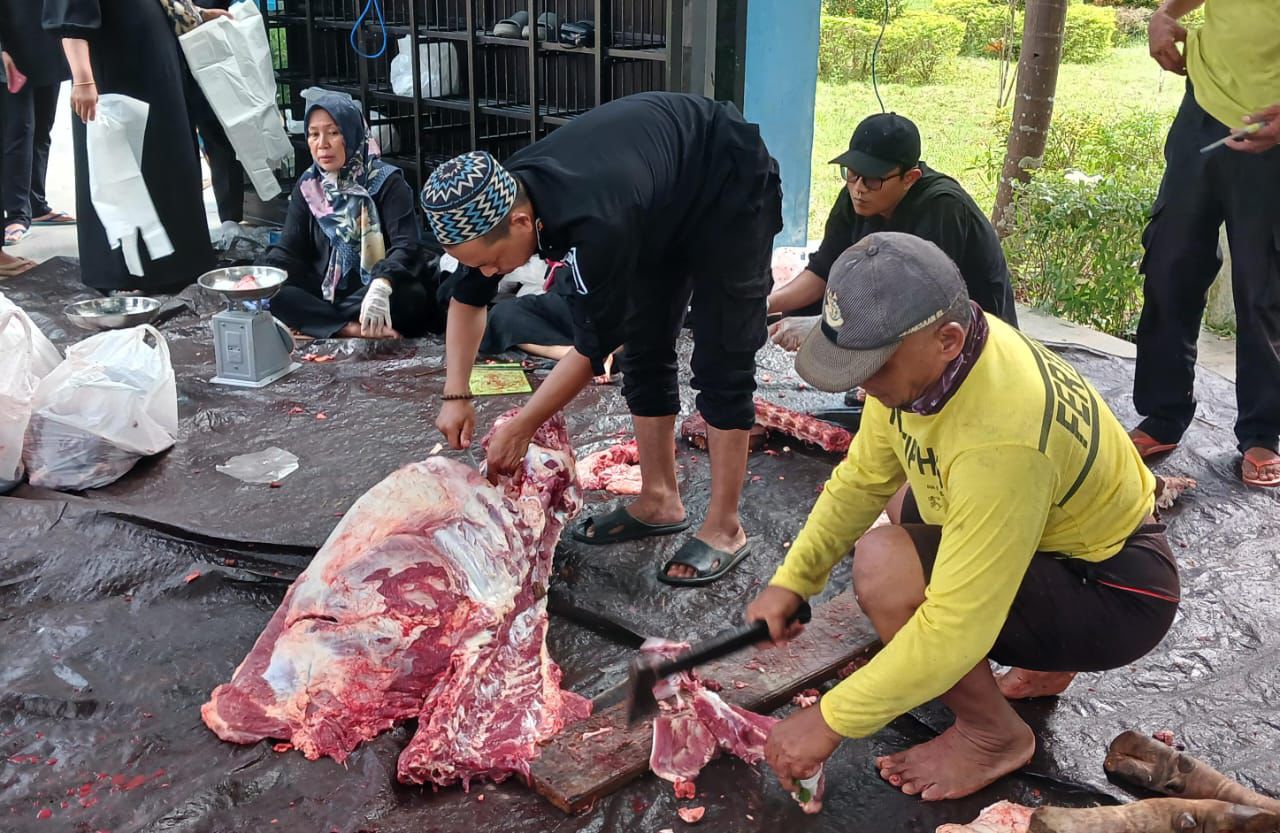 KURBAN: Petugas memotong daging kurban sapi di halaman Masjid Agung Nurusalam, Batulicin, Kamis (20/6/2024). -DISKOMINFOSP TANBU