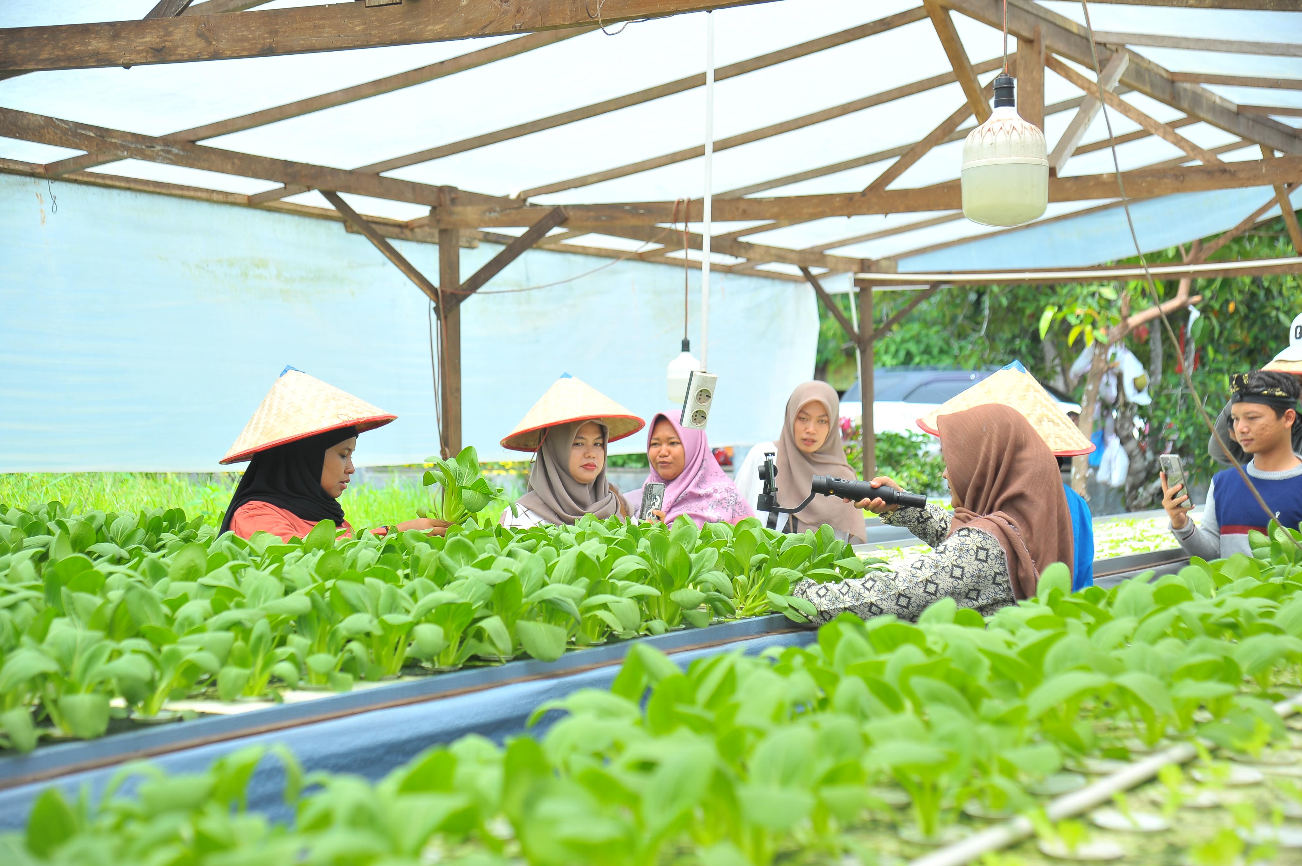 AGRO TECHNOPARK:Salah satu kebun yang diberdayakan warga Desa Batulicin Irigasi di Karang Bintang, Kabupaten Tanah Bumbu (Tanbu).(Foto:Supriyadi untuk Radar Banjarmasin)
