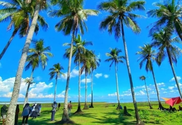 POTENSI: Pulau Sambujur di Desa Tampakang Kecamatan Paminggir, Kabupaten HSU, menjadi salah satu daya tarik wisata air di Kabupaten HSU.