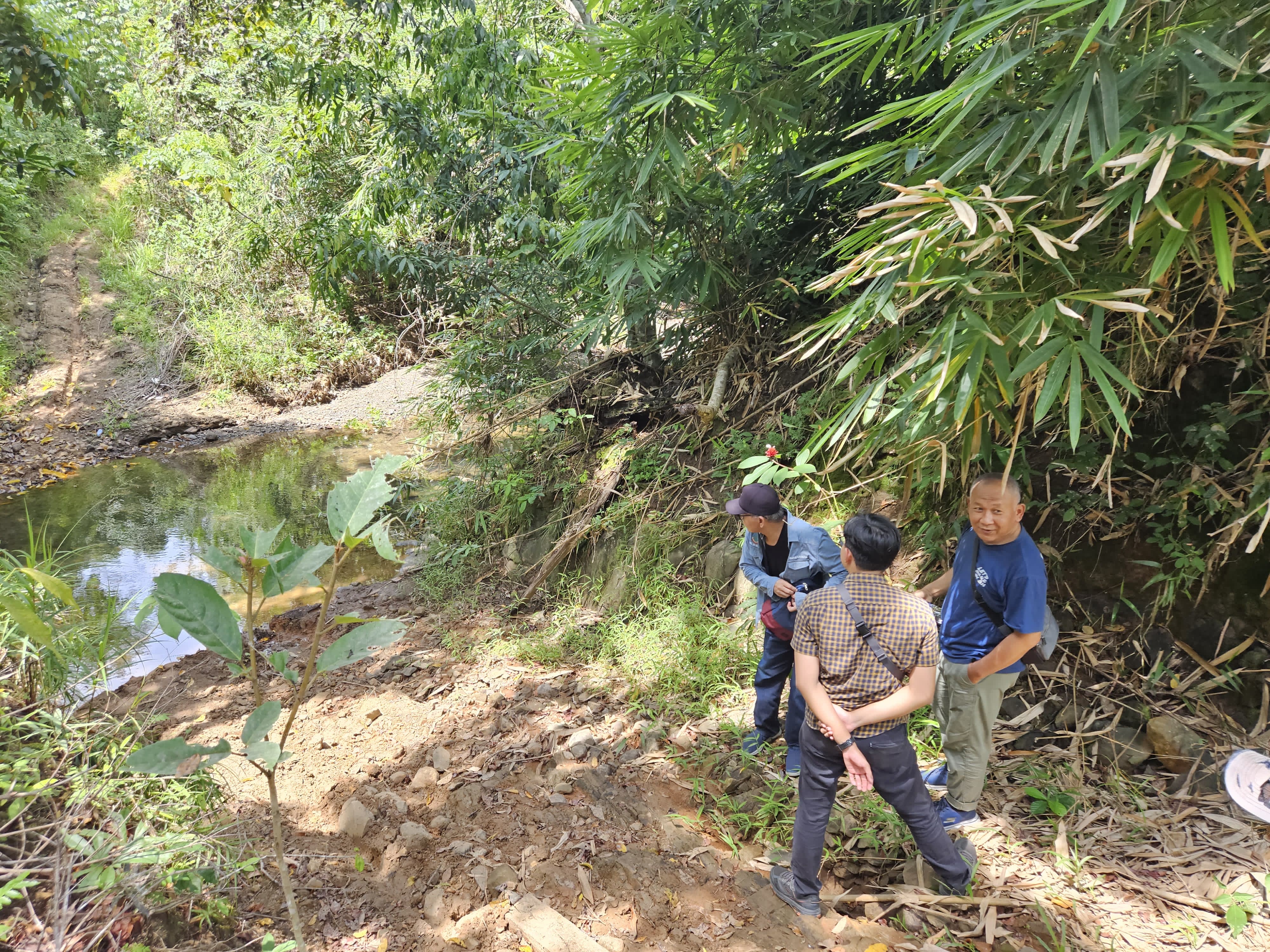 MEDAN TERJAL:Lokasi yang akan dibangun Bendungan Riam Kiwa didominasi hutan dan sungai.