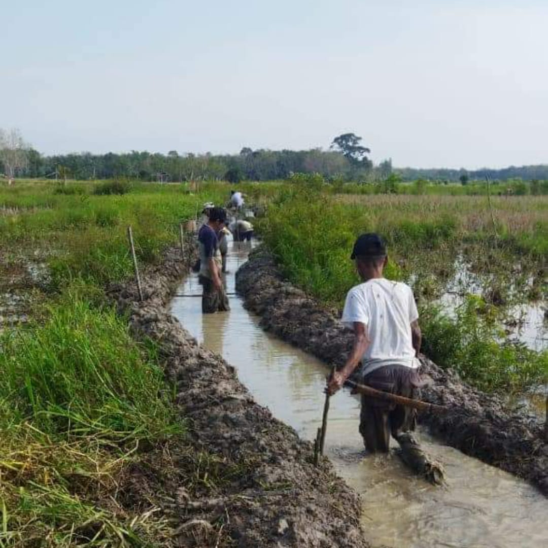 GOTONG ROYONG: Warga Desa Pematang saling bahu membahu membuat irigasi dan membersihkan saluran air di persawahan desa setempat.