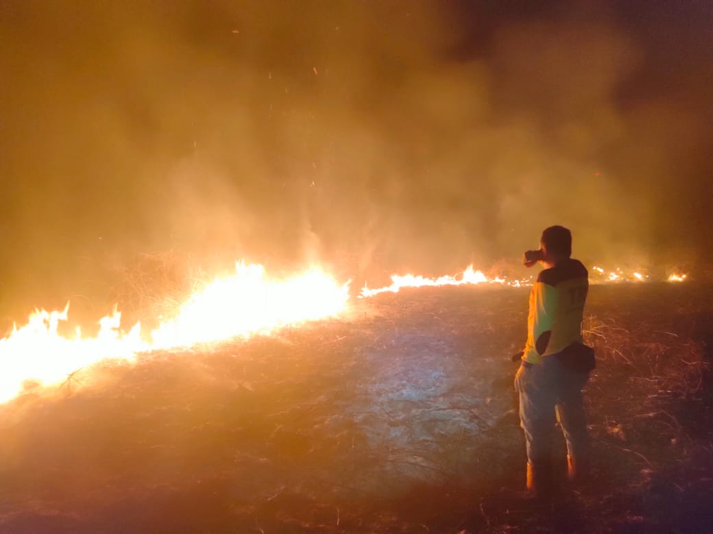 TERBAKAR:Lahan terbakar di wilayah Kelurahan Sungai Malang, kabupaten HSU membuat warga was-was.(Foto:M Akbar/Radar Banjarmasin)