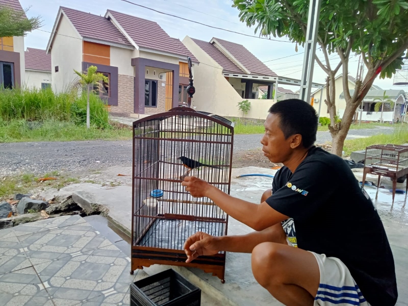 HOBI: Suroto saat bersama burung jenis Murai yang dipeliharanya. Lewat hobi memelihara burung, Suroto meraup untung hingga puluhan juta rupiah.