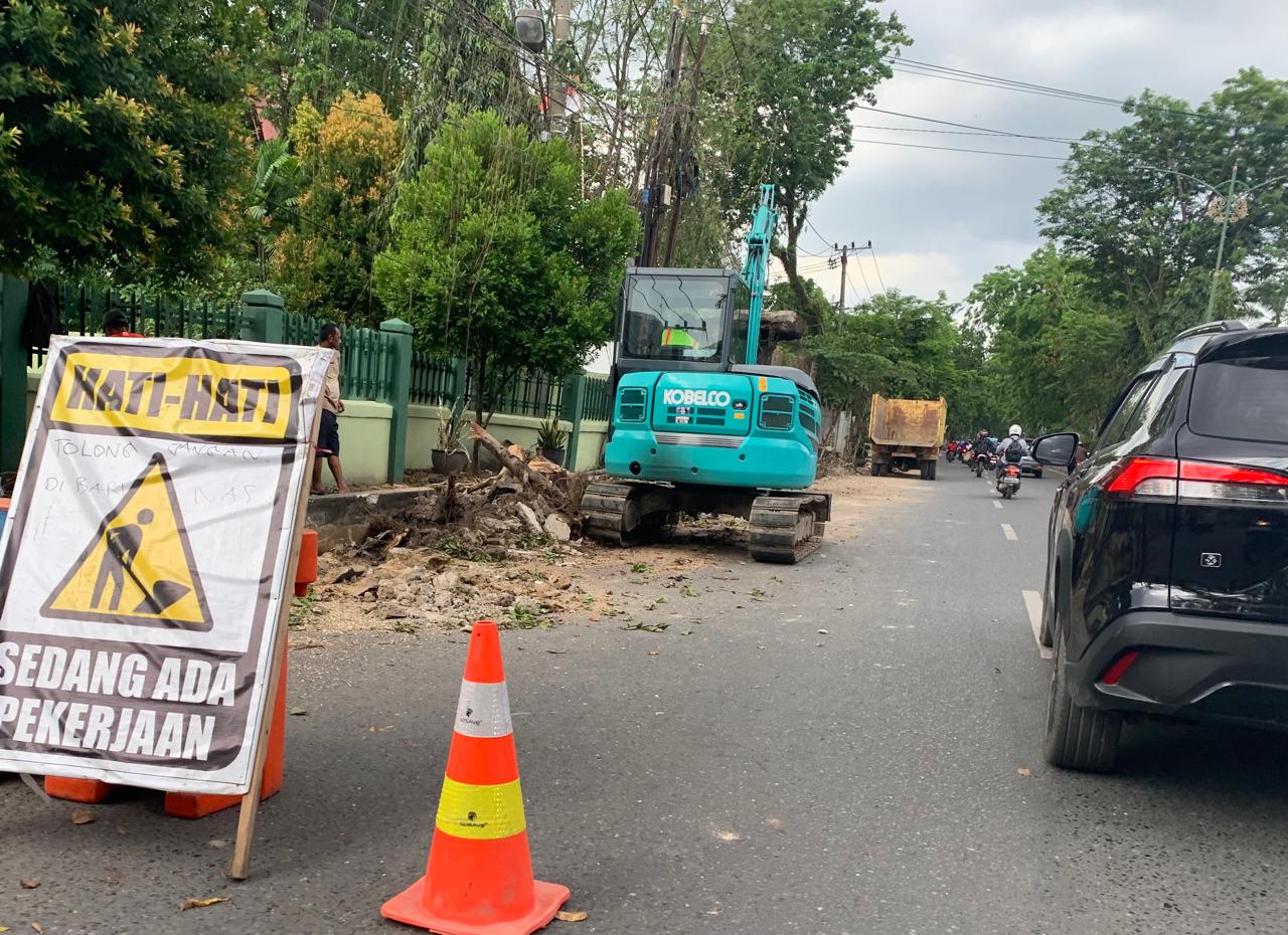 HARUS DIGANTI:Sejumlah pohon di kawasan Jalan Lambung Mangkurat Banjarmasin ditebang untuk pembangunan drainase.(Foto:Endang/Radar Banjarmasin)