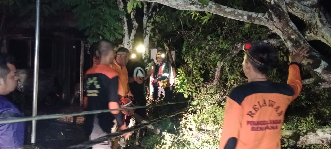 EVAKUASI: Tim Reaksi Cepat TRC BPBD Kabupaten Hulu Sungai Utara (HST), saat memotong pohon tumbang akibat angin kencang disertai hujan Sabtu (12/10/2024).