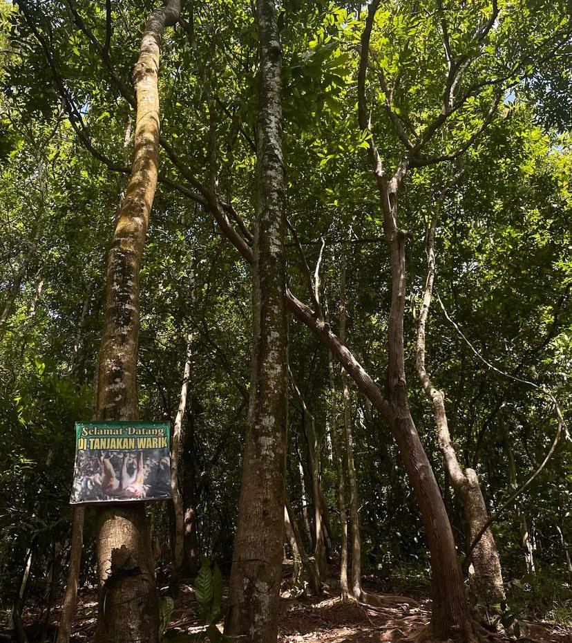 Bukit Manjai - Tanjakan Warik