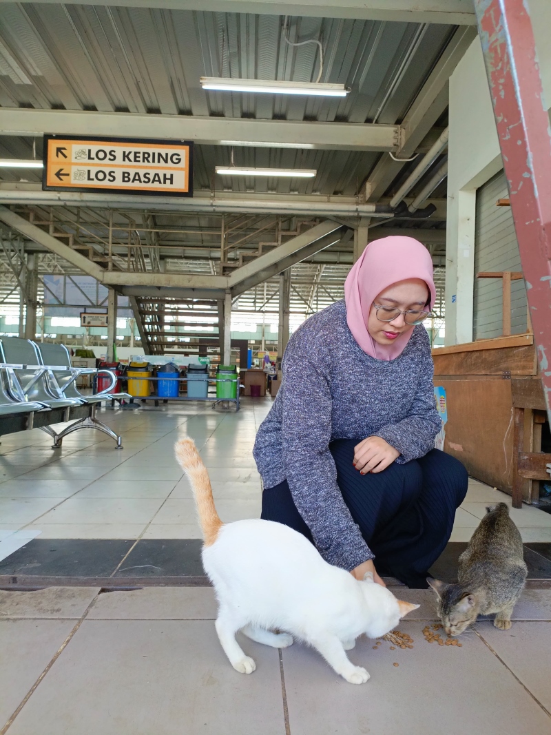 SUKA KUCING: Palestya Dini Octabria, pegawai honorer Pemko Banjarbaru yang rutin memberi makan kucing liar.