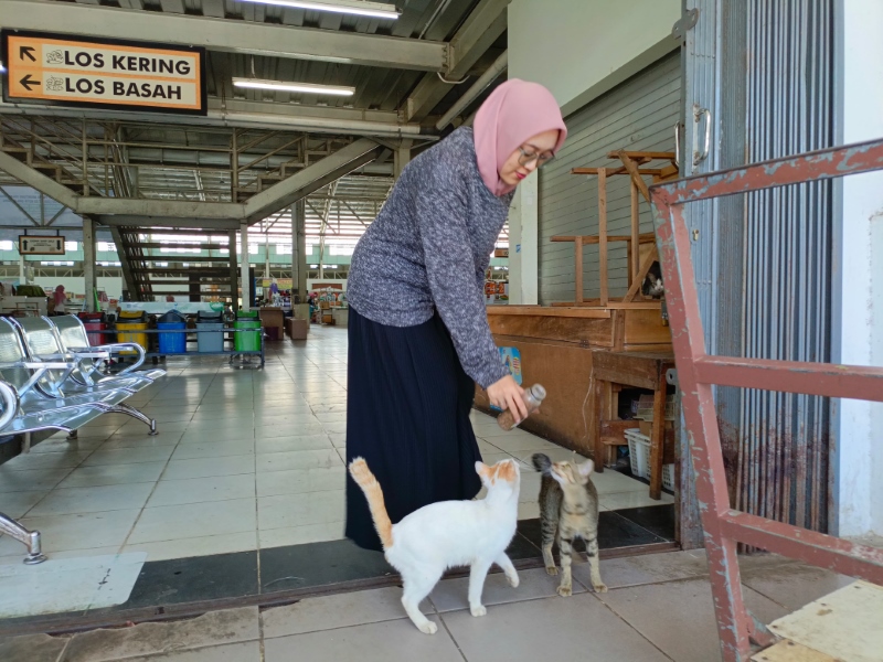 KASIH MAKAN: Palestya Dini Octabria, pegawai honorer Pemko Banjarbaru saat memberi makan kucing liar.