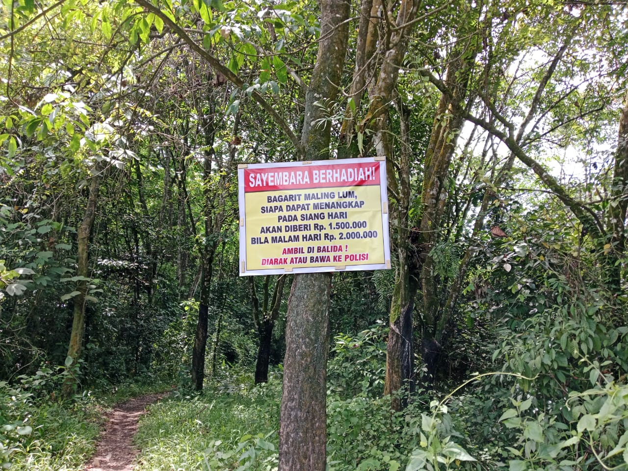 SAYEMBARA: Papan sayembara penangkapan maling karet yang dibikin oleh warga Desa Balida. (Sahridin untuk Radar Banjarmasin)