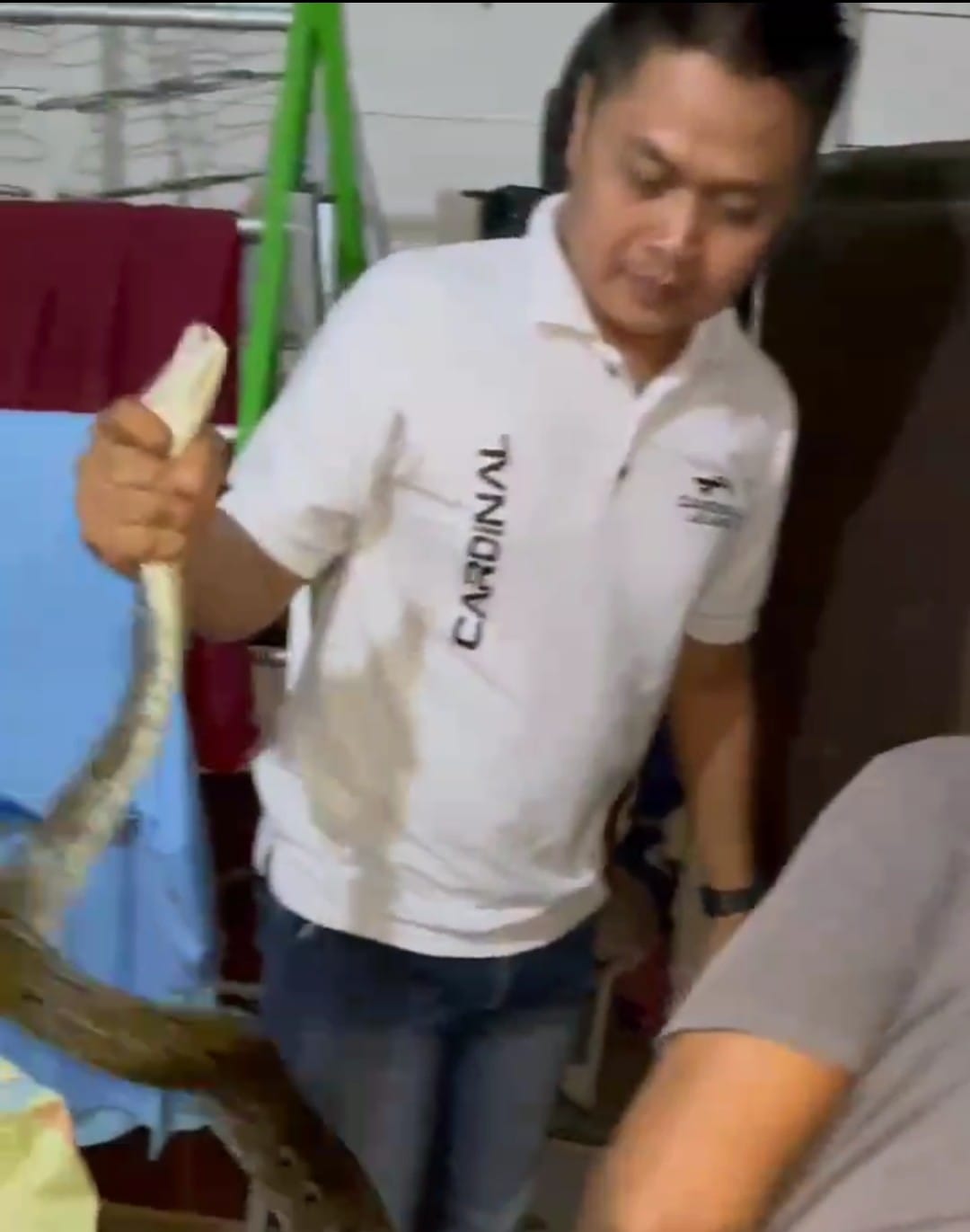 EVAKUASI: Hendra dari Tim Animal Rescue APS berhasil menangkap ular piton sepanjang dua meter dari kolong lemari rumah warga Desa Pamintangan, Kabupaten HSU. (Foto: M.Akbar/Radar Banjarmasin)