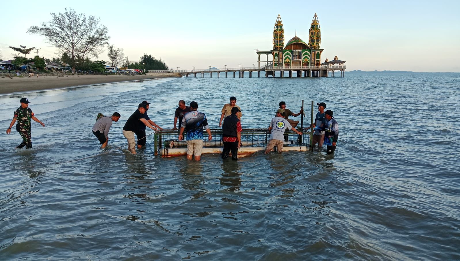 PERANGKAP: Petugas memasang perangkap untuk menangkap buaya di kawasan Pantai Siring Pagatan, Tanah Bumbu. (Desa Sungai Lembu untuk Radar Banjarmasin)