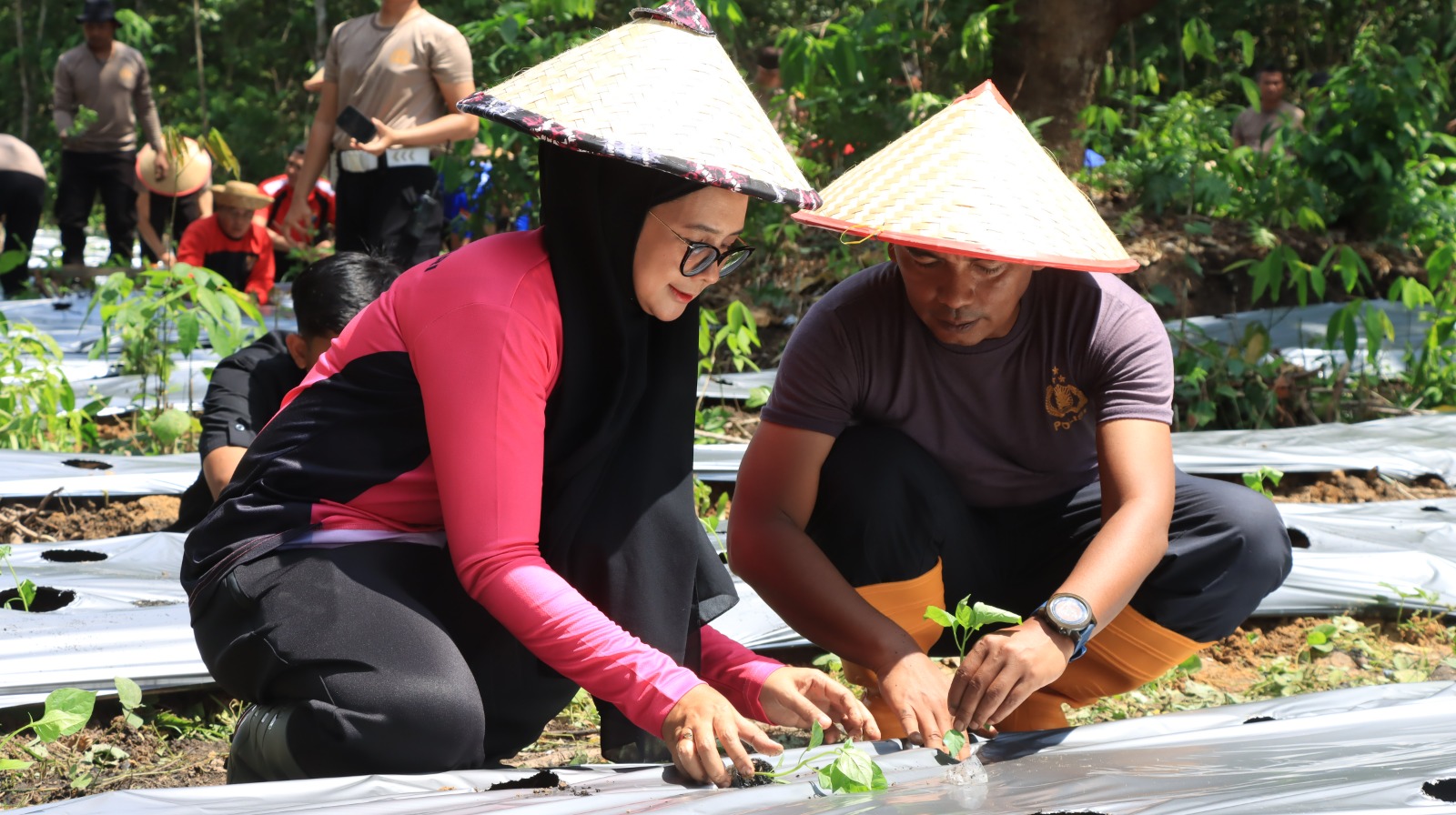 DUKUNGAN: Kapolres HSU AKBP Meilki Bharata dan istri saat melaksanakan penanaman bibit lombok di Desa Pulau Damar. (Foto: Polres HSU)