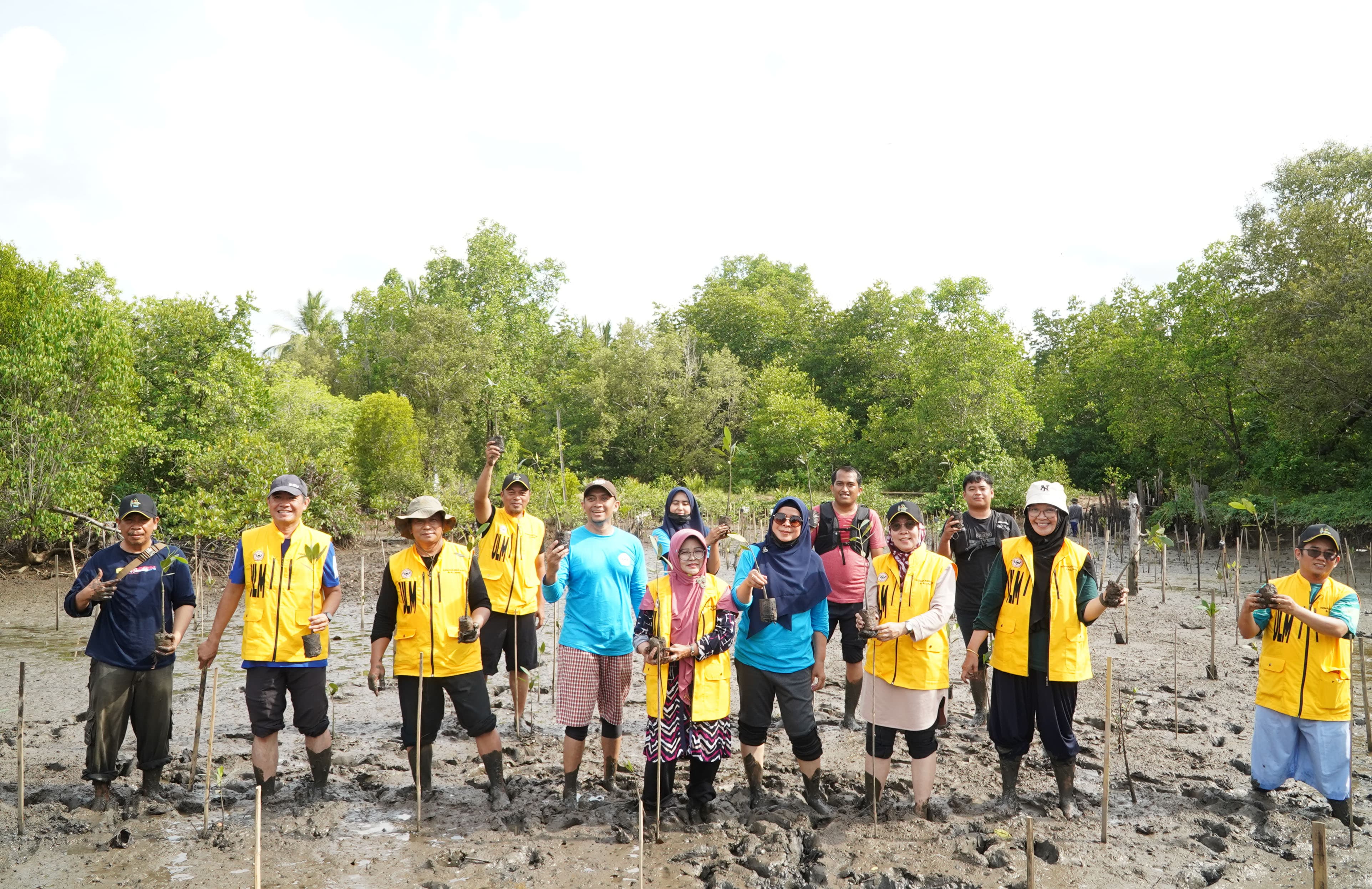 MANGROVE: Wakil Rektor ULM, Muhammad Rusmin bersama dosen, mahasiswa dan alumni bersama masyarakat menanam bibit mangrove di Desa Teluk Tamiyang.
