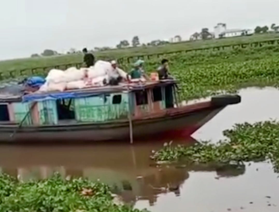 GANGGUAN: Eceng gondok di jalur air transportasi di Kecamatan Paminggir, Kabupaten Hulu Sungai Utara. (Foto: Warga/Radar Banjarmasin)