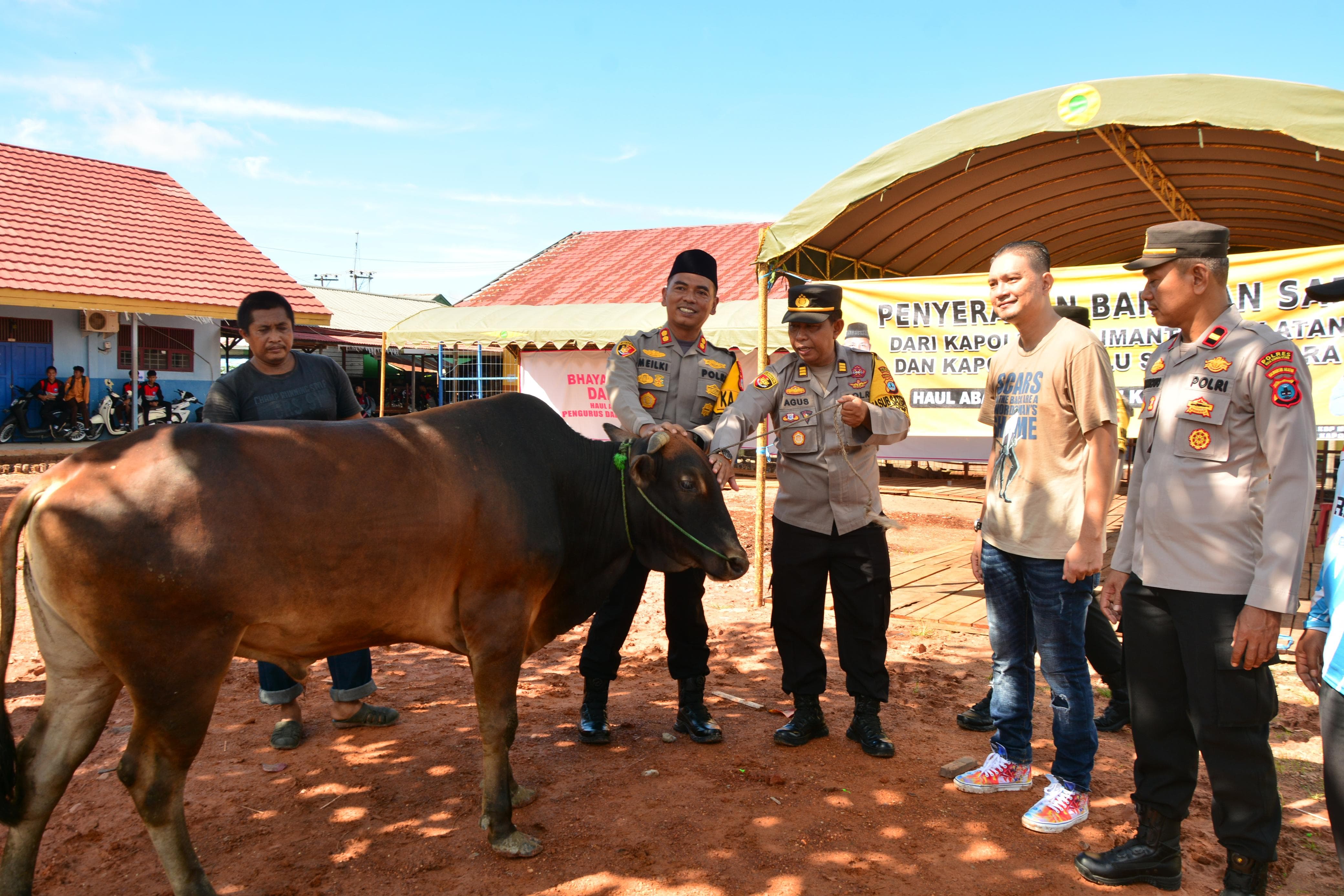 HAUL: Kapolres HSU AKBP Meilki Bharata secara simbolis menyerahkan bantuan sapi dari Polres HSU, untuk kegiatan Haul Abah Guru Danau ke-1. (Foto: Polres HSU)
