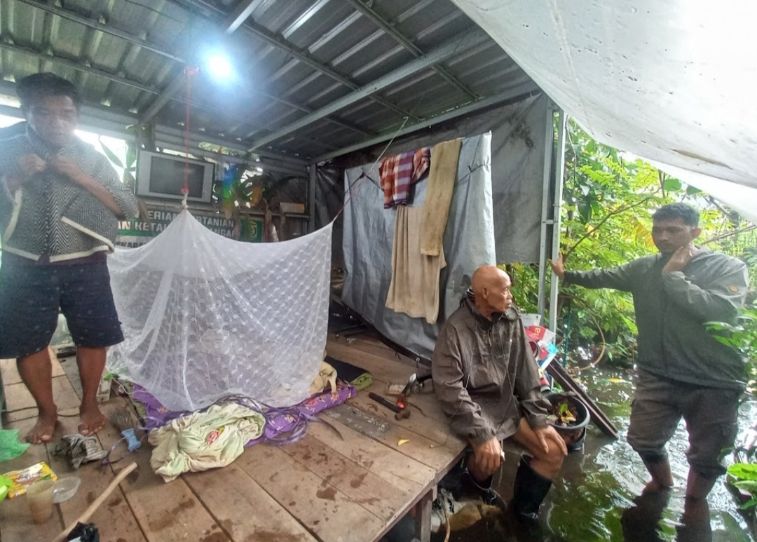 MENGUNGSI: Agus Radityono, warga Kompleks Beruntung Jaya, Banjarmasin Selatan, terpaksa tinggal di sebuah pondok darurat  sementara rumahnya terendam banjir.