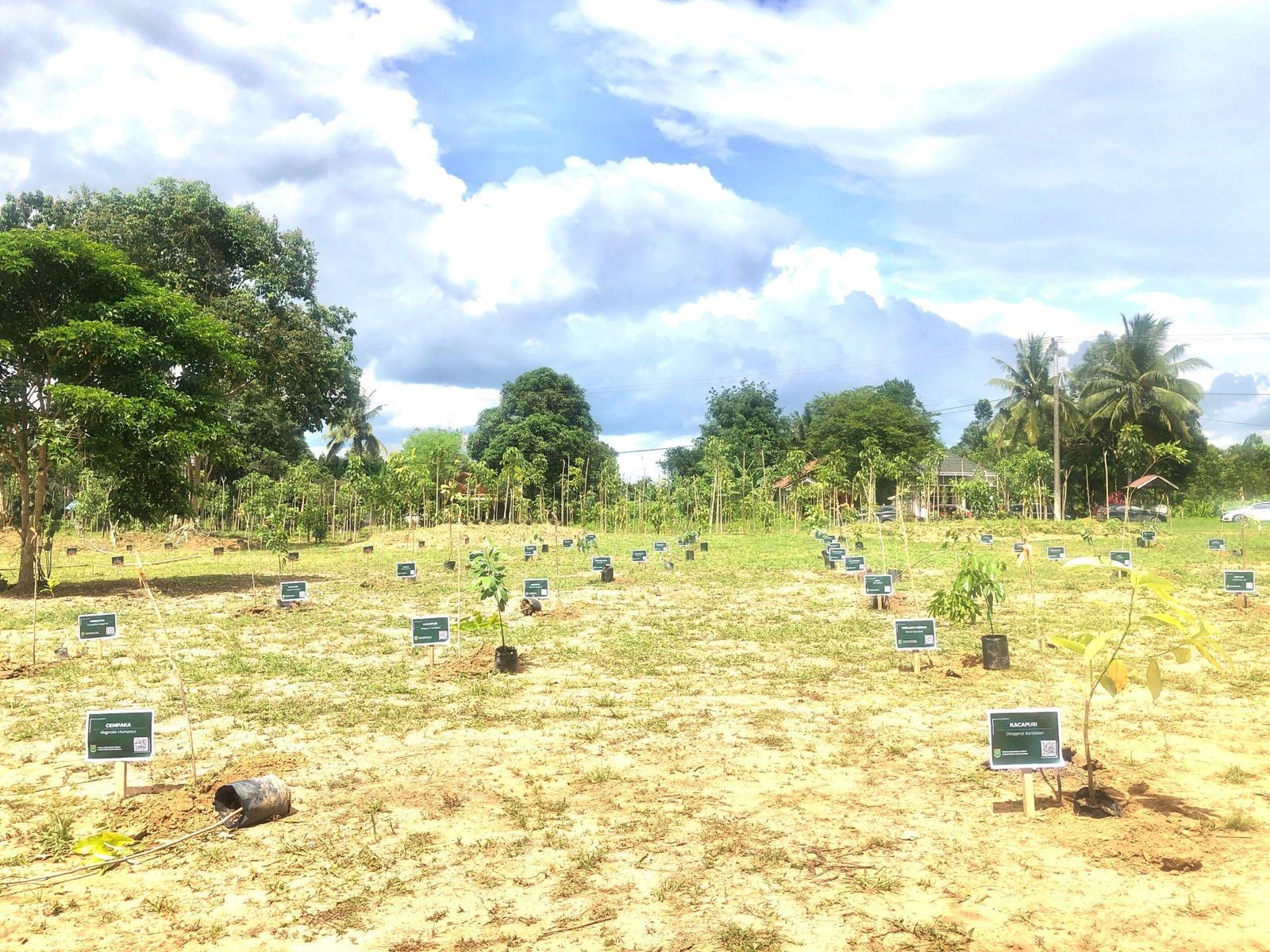 PUSAT EDUKASI: Arboretum At-Ta&rsquo;if di Batulicin, pusat pelestarian dan edukasi lingkungan, melestarikan 57 spesies tumbuhan di lahan 17 hektare. (Foto: DLH Tanah Bumbu)