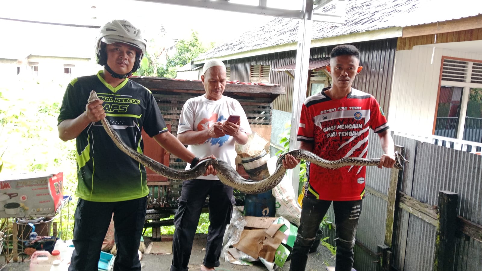 EVAKUASI: Tim Animal Rescue APS Kabupaten HSU, berhasil menangkap satu ular Piton dari kandang Merpati warga Murung Sari, Kecamatan Amuntai Tengah.