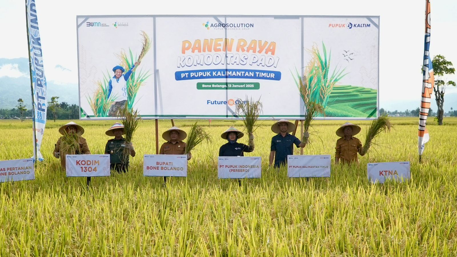 PRODUKTIVITAS:Agrosolution Pupuk Kaltim di Bone Bolango Gorontalo Capai Produktivitas 7,8 Ton/Ha.(foto:Pupuk Kaltim untuk Radar Banjarmasin)