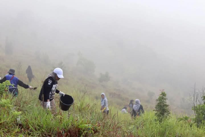 TEBAR BIBIT:Dishut Kalsel bersama PT Adaro Indonesia menanam pohon Eucalyptus di kawasan Gunung Pamaton, Tahura Sultan Adam, Jumat (31/1/2025) pagi.