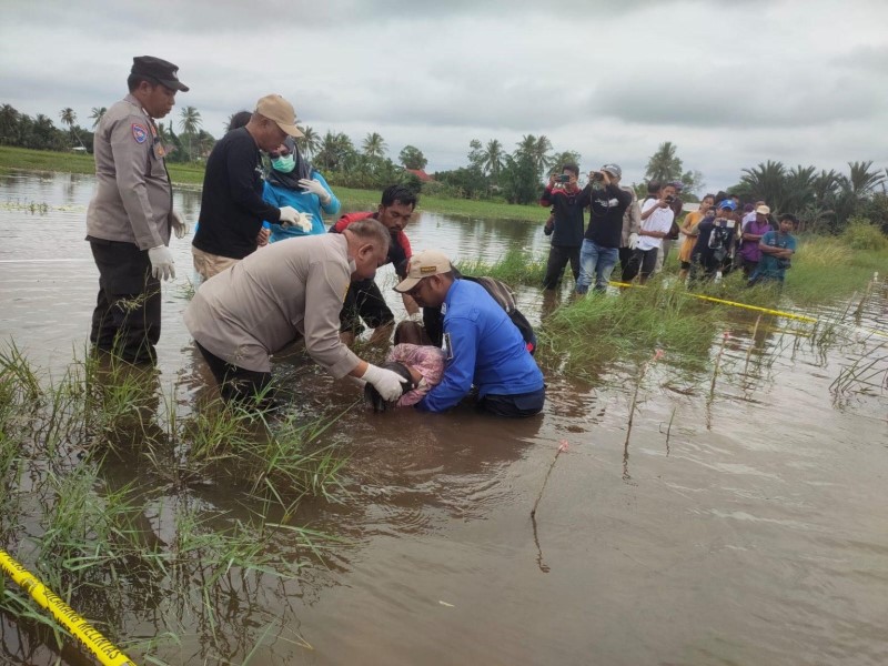 EVAKUASI : Kapolsek Kurau Iptu Bambang Hariansyah saat mengevakuasi jasad lansia yang mengapung di areal persawahan di Desa Tambak Karya, Kecamatan Kurau, Sabtu (1/2).
