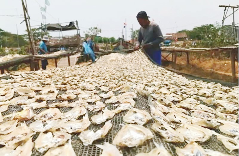 Penjemuran ikan