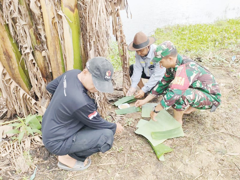 ANCAMAN: Anggota TNI AD dari Kodim 1001 HSU/BLG membasmi hama tikus dengan metode pengumpanan.